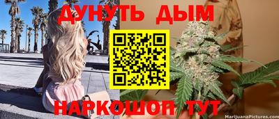 сатива Бийск