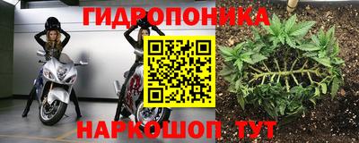 каннабис Берёзовский