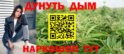 сатива Бийск