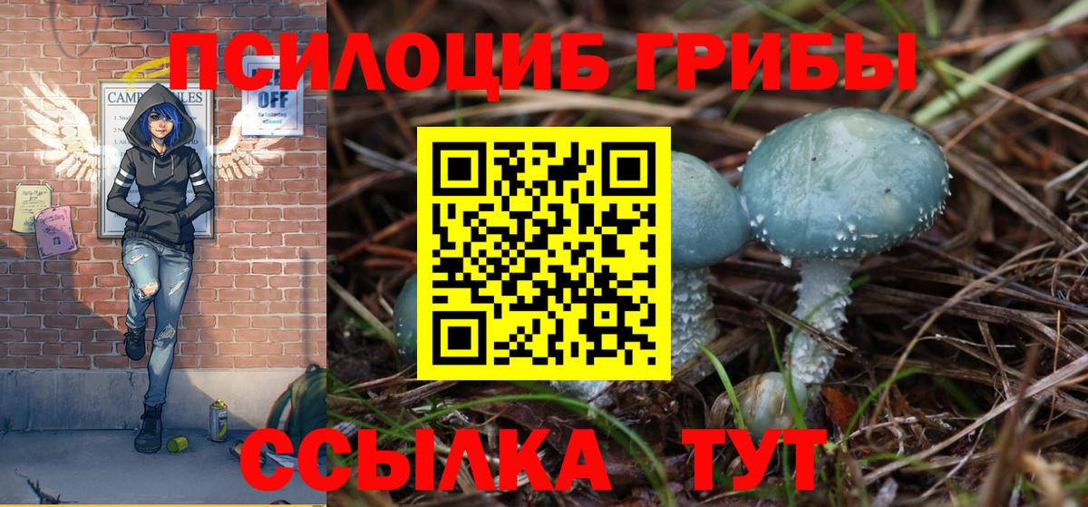 Псилоцибиновые грибы прущие грибы Екатеринбург